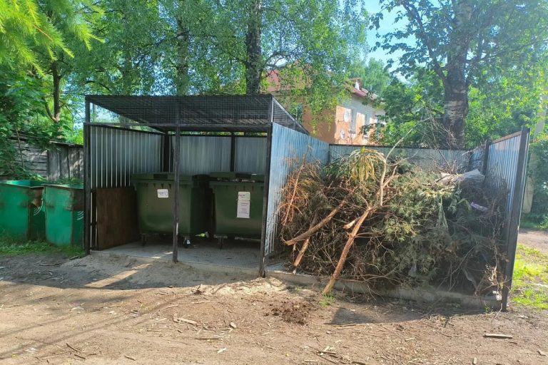 Ветки, листву и скошенную траву мусоровозы больше не возьмут на свалку