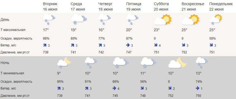 Стало известно, когда в Тверскую область вернется лето