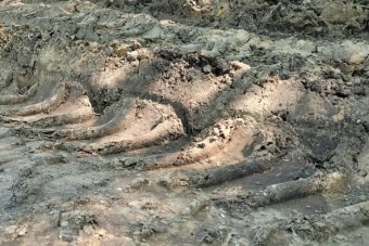 Состояние дороги в Тверской области стало основанием для проверки следкома Состояние дороги в Тверской области стало основанием для проверки следкома