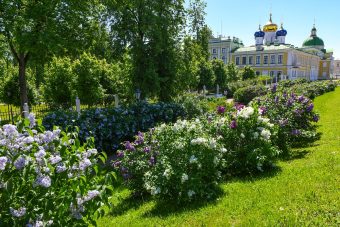 Виталий Королев поделился с жителями Твери отличной новостью