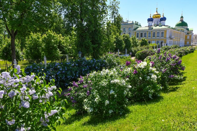 Виталий Королев поделился с жителями Твери отличной новостью