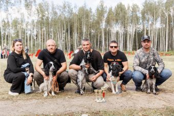 В Тверской области состоятся состязания русских охотничьих спаниелей В Тверской области состоятся состязания русских охотничьих спаниелей