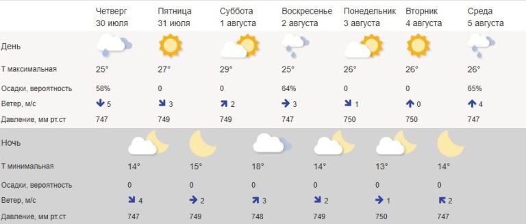 Заливший Тверскую область дождями циклон сняли из космоса