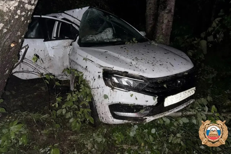 В Тверской области женщина-водитель пострадала, врезавшись в дерево