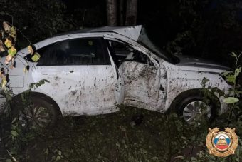 В Тверской области женщина-водитель пострадала, врезавшись в дерево В Тверской области женщина-водитель пострадала, врезавшись в дерево