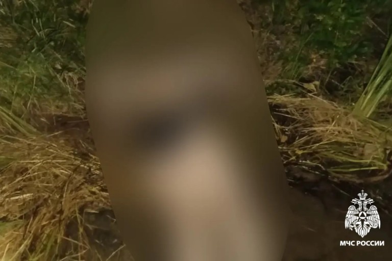 Женщина утонула в реке Нерль в Тверской области