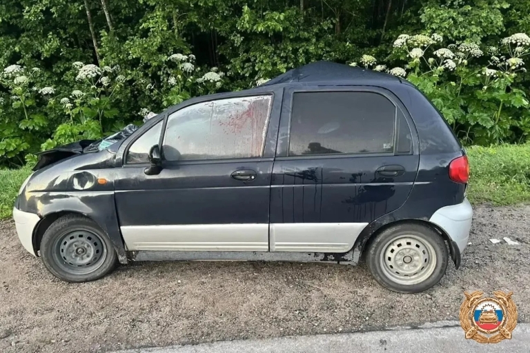 В Тверской области три человека пострадали в ДТП с лосем
