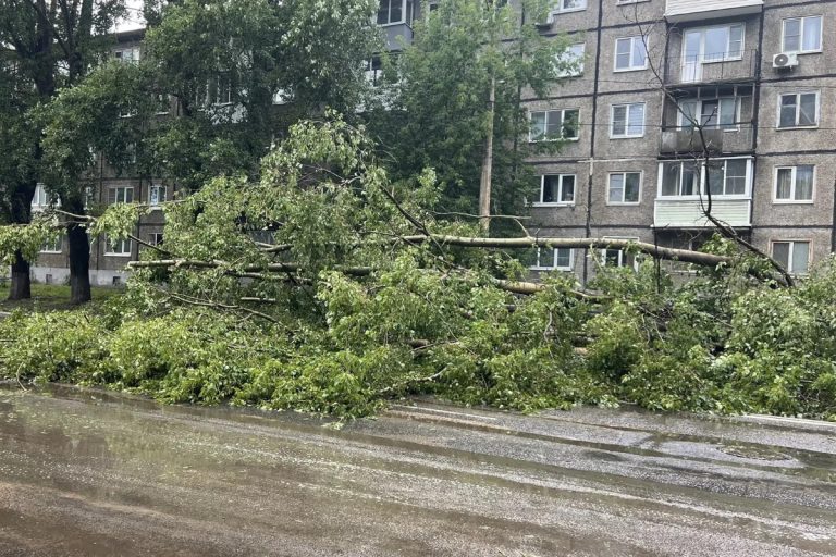 В Твери устраняют последствия аномального урагана, который ещё не окончен