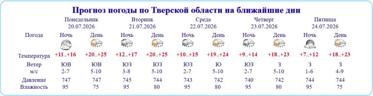 В Тверскую область возвращаются дожди