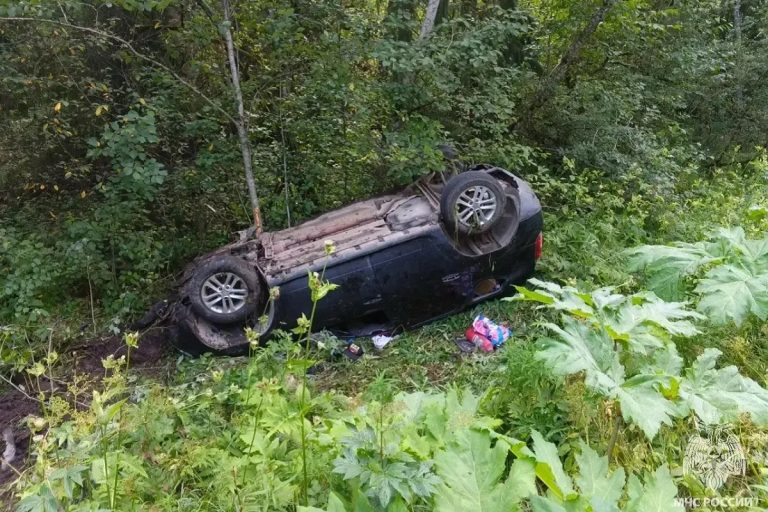ДТП с двойным перевертышем произошло в Тверской области