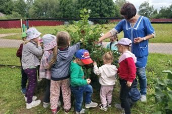 В Тверской области дети провели огородное расследование