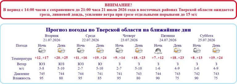 Названы районы Тверской области, на которые обрушится ливень и гроза