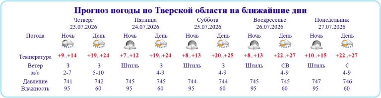В Тверскую область возвращается 27-градусное тепло