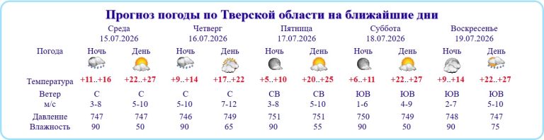В Тверской области температура воздуха поднимется до +27 градусов