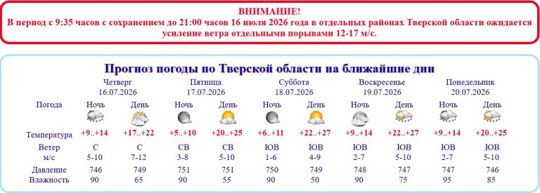Штормовое предупреждение объявлено в Тверской области