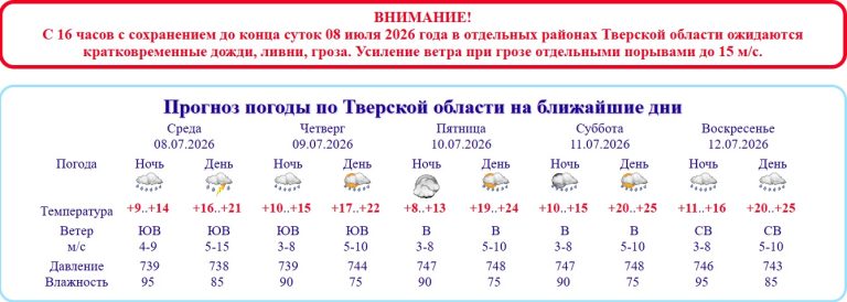 Ливень, гроза и сильный ветер штурмуют Тверскую область