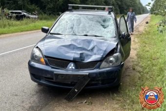 В Тверской области водитель мопеда погиб под колесами автомобиля