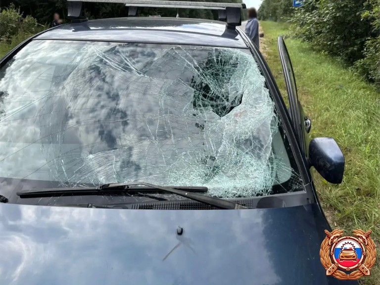 В Тверской области водитель мопеда погиб под колесами автомобиля