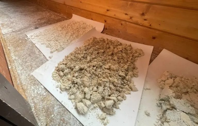 В Тверской области силовики ликвидировали крупную нарколабораторию