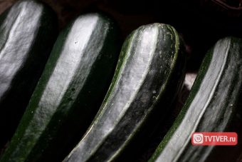 Названа польза одного из самых "презираемых" овощей Названа польза одного из самых "презираемых" овощей