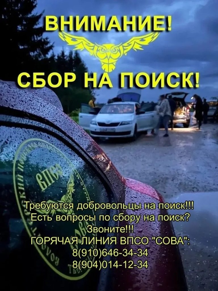 Для поисков пропавшего в Тверской области мальчика срочно нужны добровольцы