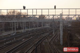 По железным дорогам Тверской области перевезли свыше 440 тысяч тонн леса По железным дорогам Тверской области перевезли свыше 440 тысяч тонн леса