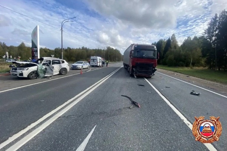 Два человека пострадали в ДТП с фурой на М-10 в Тверской области