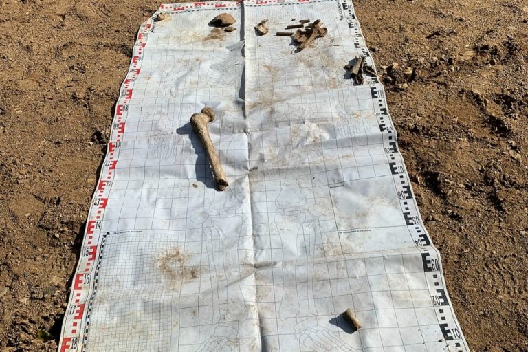 В Тверской области на территории бывшего пионерлагеря нашли человеческие кости