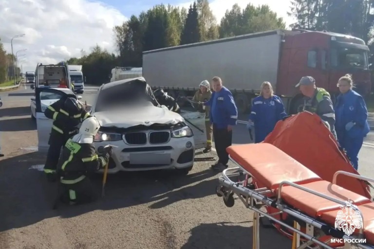 Два человека пострадали в ДТП с фурой на М-10 в Тверской области