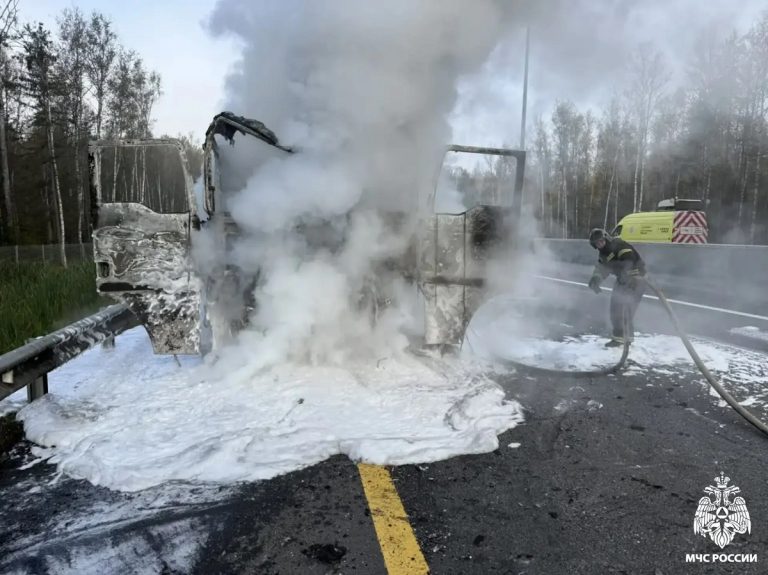 Пожарные спасли груз горящей фуры на М-11 в Тверской области