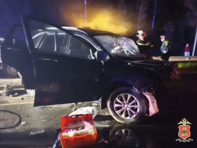 2 ДТП в одно время Тверской области унесли жизни 5 человек