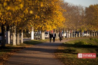 Поиски пропавшей девушки-подростка прекращены в Тверской области Поиски пропавшей девушки-подростка прекращены в Тверской области