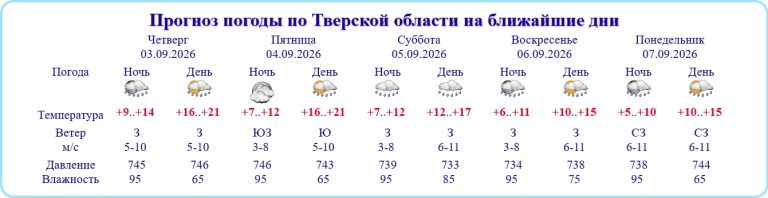 Осень агрессивно со штормом ворвется в Тверскую область