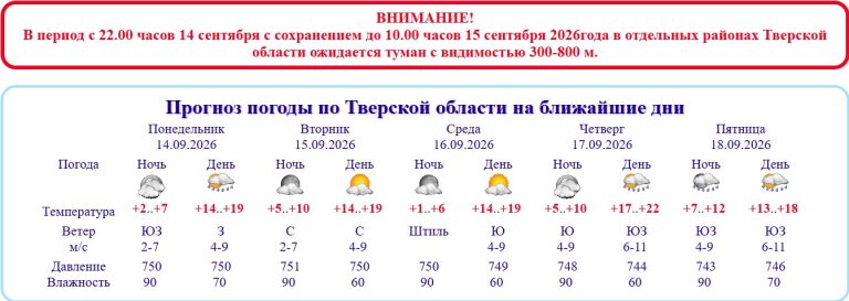 Гидрометцентр предупредил о густом тумане в Тверской области
