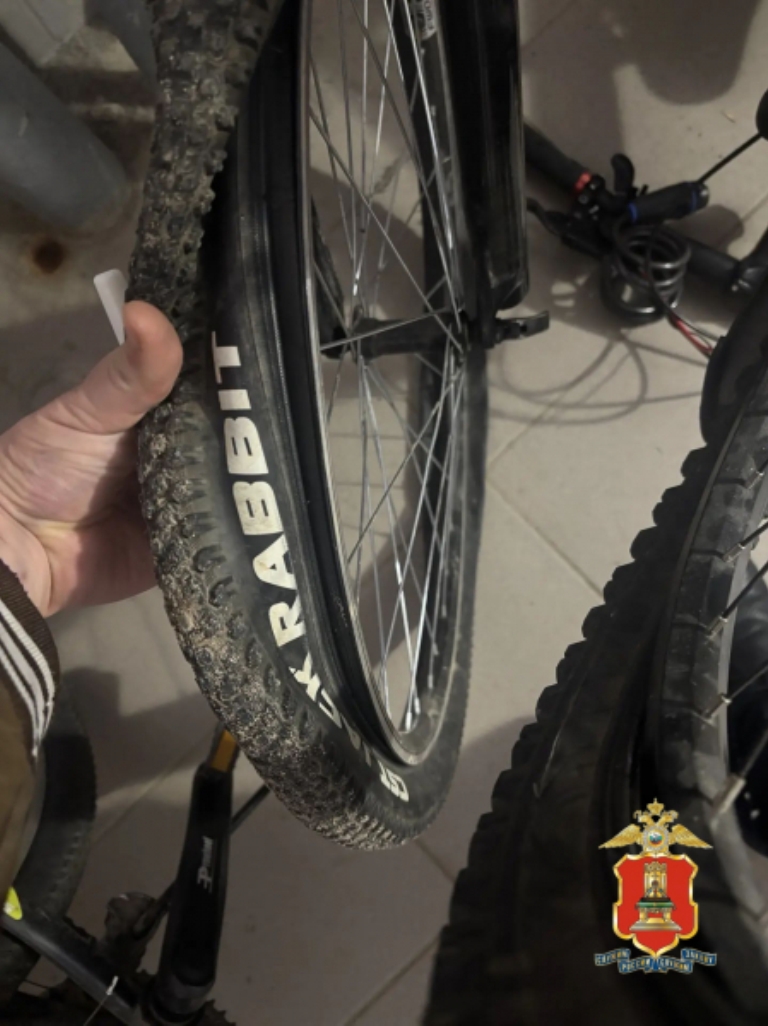 В Тверской области пьяная девушка повредила три велосипеда