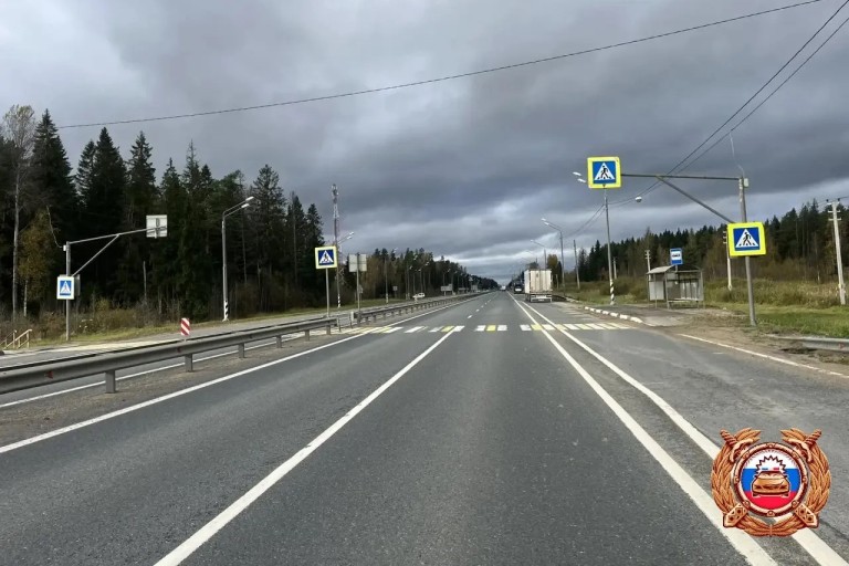 Большегруз сбил женщину на пешеходном переходе в Тверской области