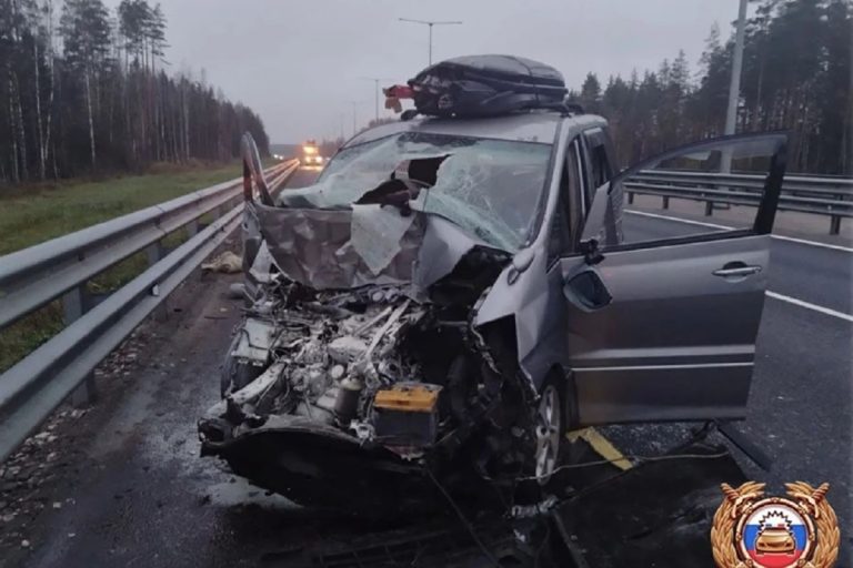 На М-11 в Тверской области в ДТП пострадали 6 человек