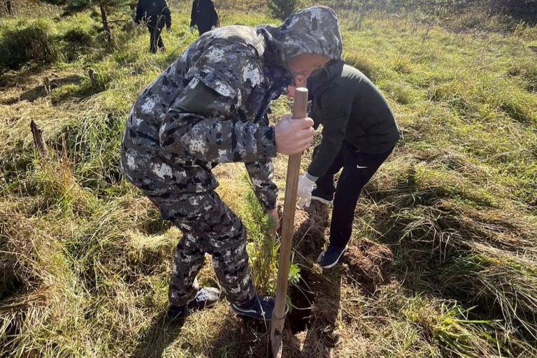 Тверская область присоединилась к акции «Сохраним лес»