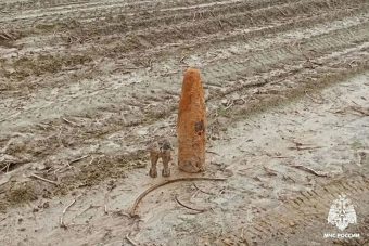 Шесть боеприпасов времён ВОВ нашли под Ржевом Шесть боеприпасов времён ВОВ нашли под Ржевом