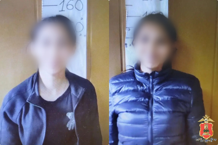 В Тверской области девушки попались на краже дров у соседки
