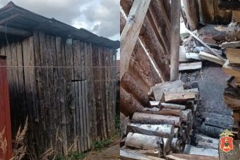 В Тверской области девушки попались на краже дров у соседки