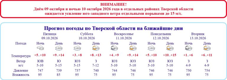 Ветер в Тверской области будет сбивать с ног, а небеса будут плакать