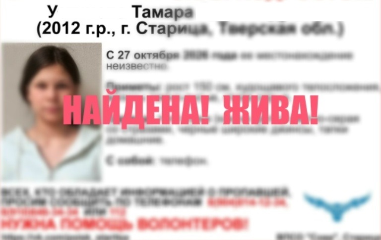 Прекращены поиски пропавшей в Тверской области девочки