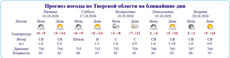 В Тверской области похолодает до -3 градусов
